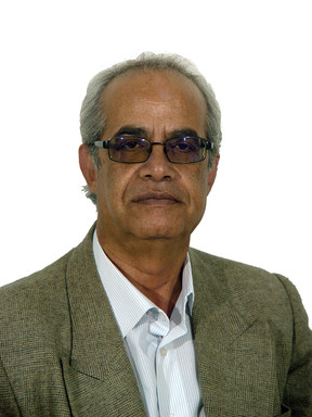 محمدرضا ديماري